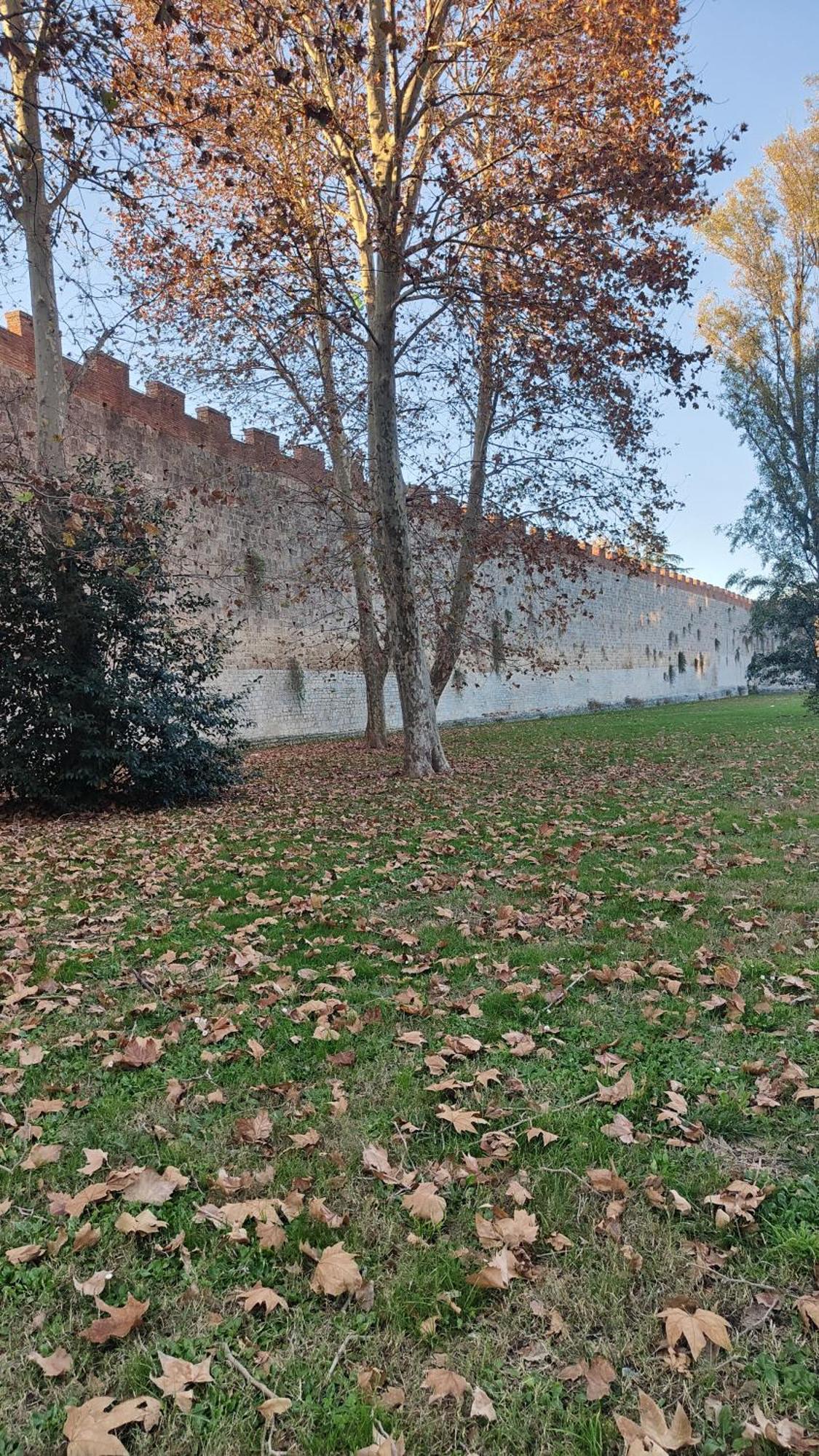 L'Angolo Di Galileo Pisa Exteriör bild